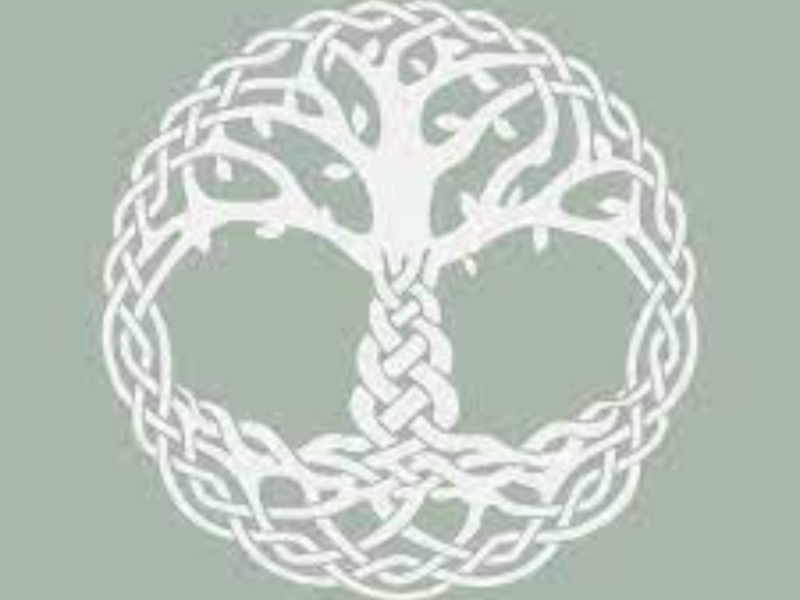 #PR035 - RICCHEZZA PRATA