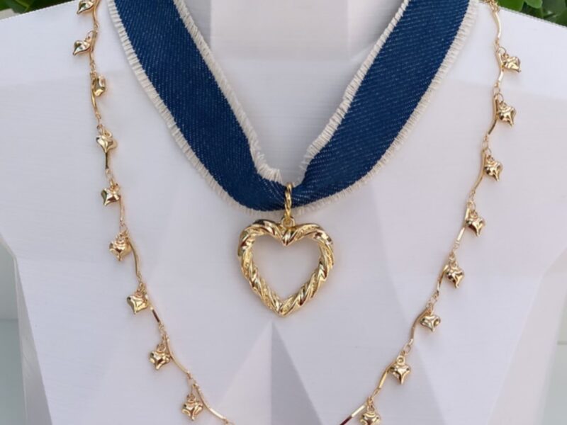 #BJ009 - RENATA BERTOLINNI